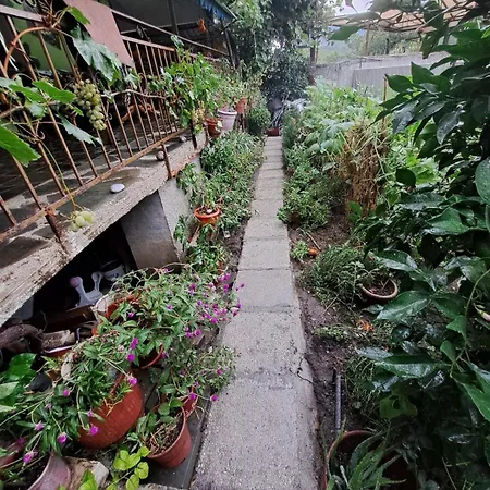 Nurka Séjour chez l'habitant Përmet
